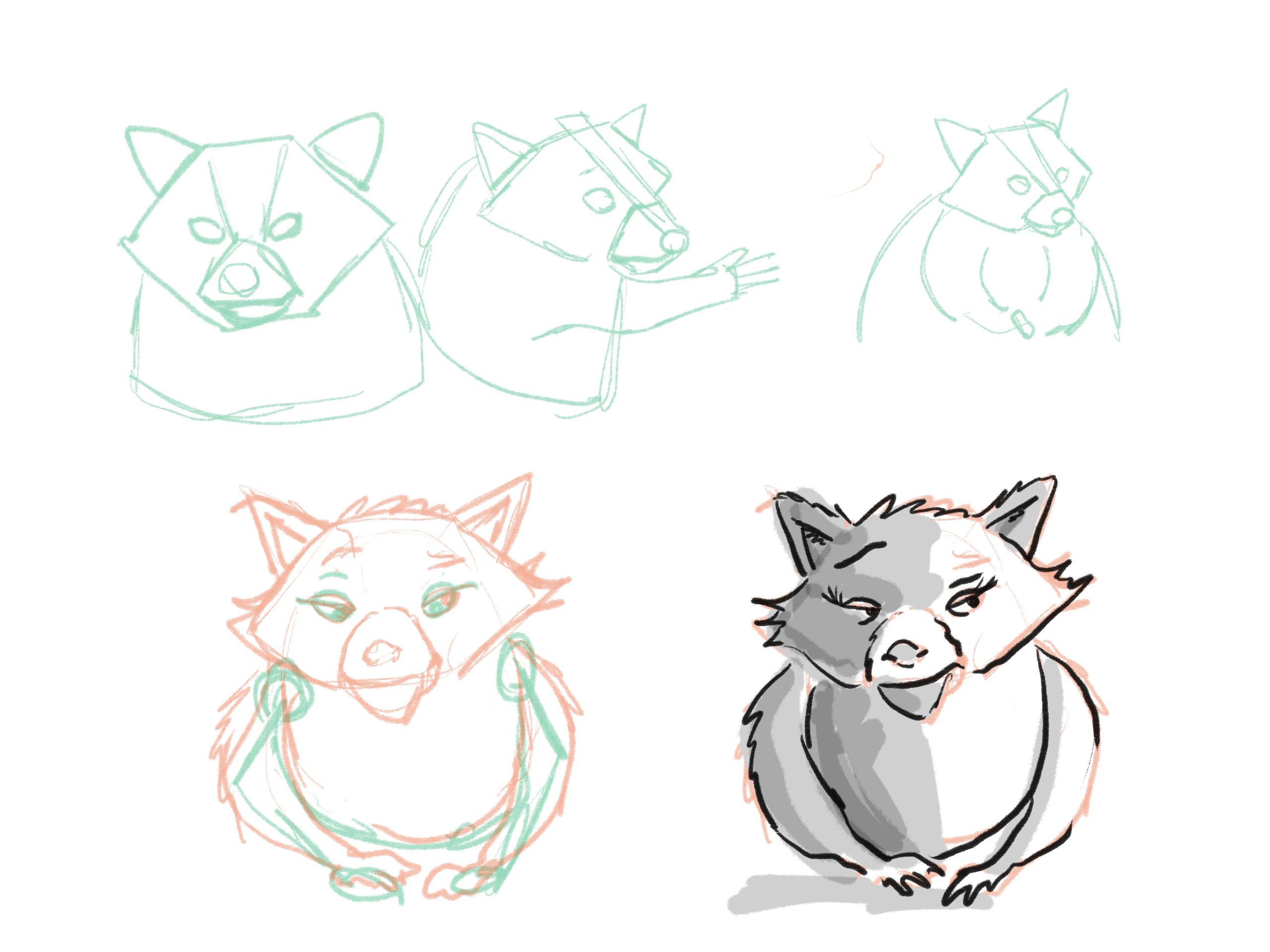 Raccoon shapes